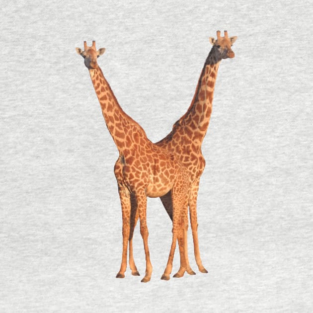 Maasai-Giraffe - Giraffe - Wildlife in Africa by T-SHIRTS UND MEHR